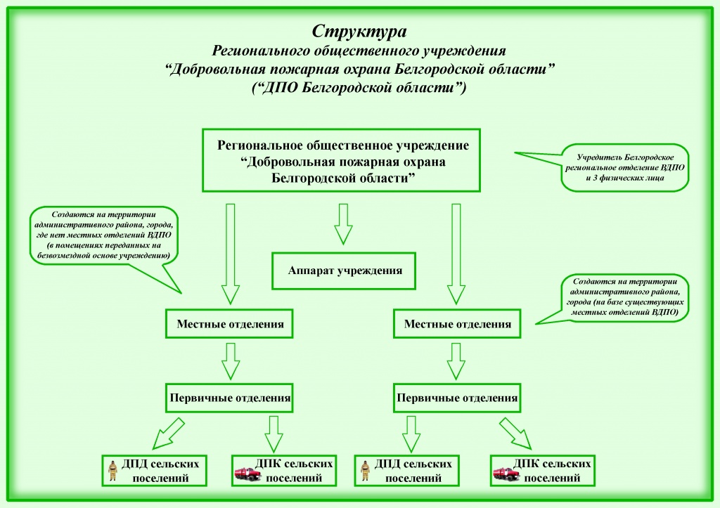 struktura dpo с первичкой.jpg